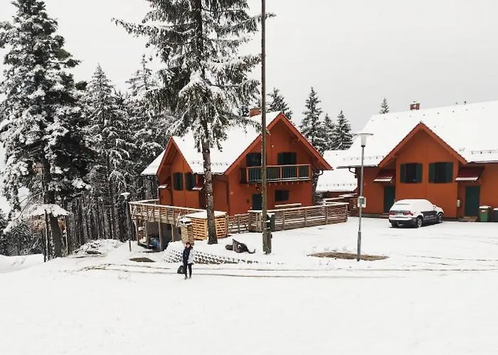 Prijeten Soncen Apartma V Objemu Pohorja アパート *