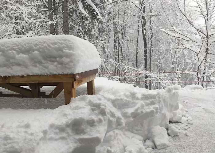 アパート Prijeten Soncen Apartma V Objemu Pohorja